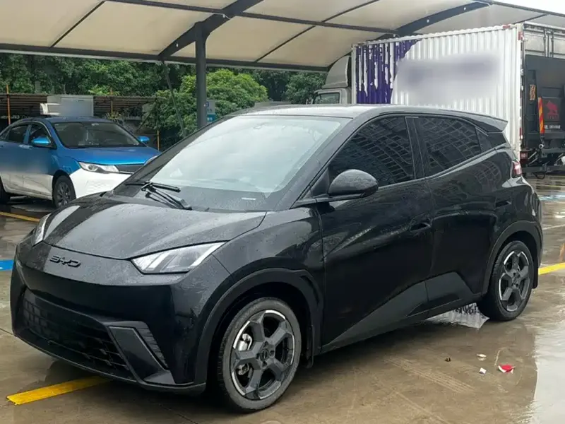 BYD Seagull, 2024