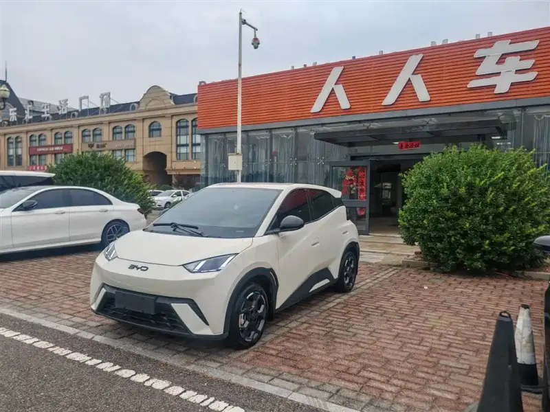 BYD Seagull, 2024