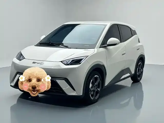 BYD Seagull, 2024