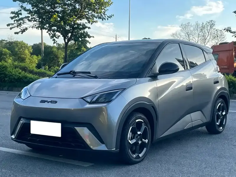 BYD Seagull, 2024