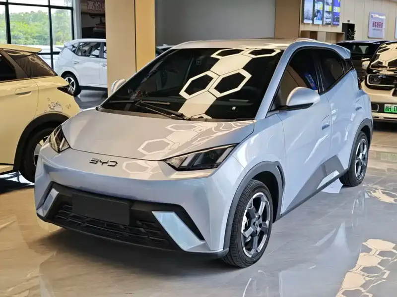 BYD Seagull, 2024