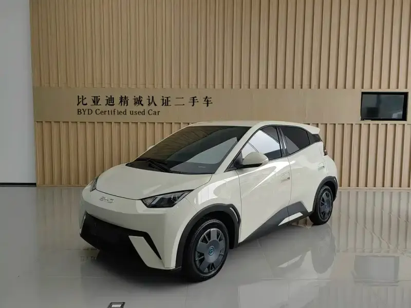 BYD Seagull, 2025