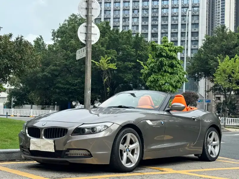 BMW Z4, 2010