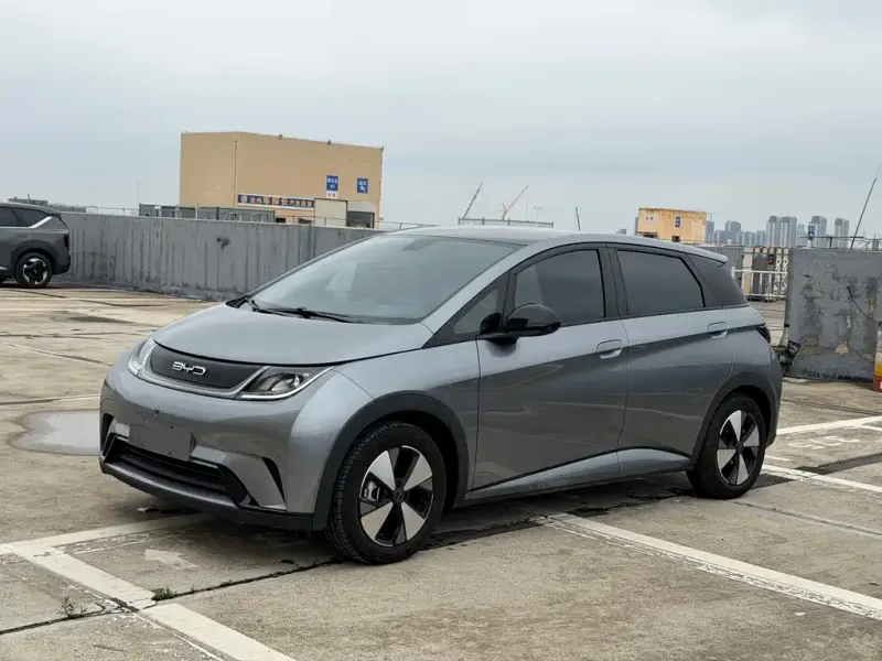BYD Dolphin, 2023