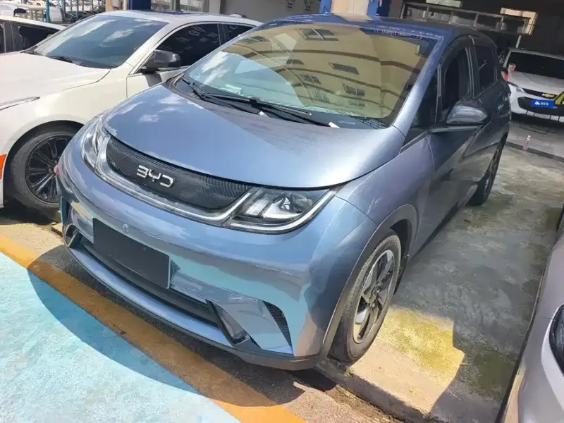 BYD Dolphin, 2024