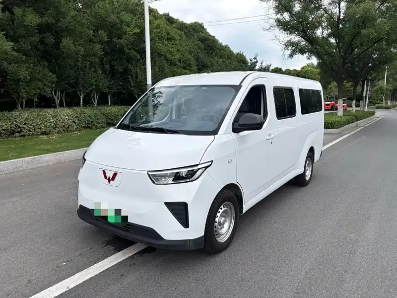 Wuling Yangguang, 2024