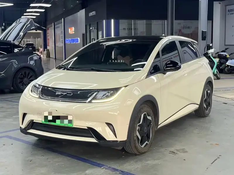 BYD Dolphin, 2022