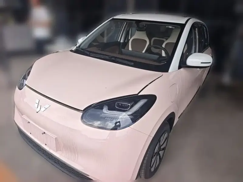 Wuling Bingo, 2025