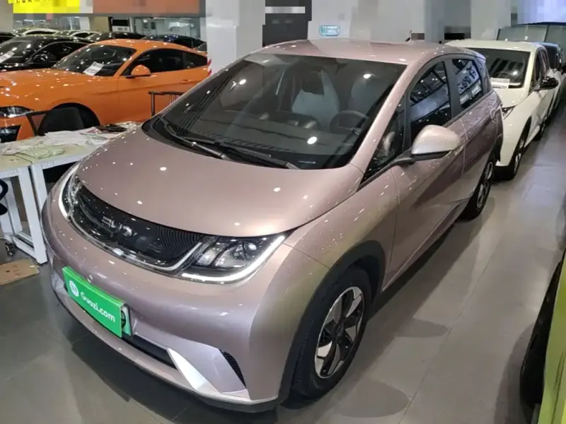 BYD Dolphin, 2024