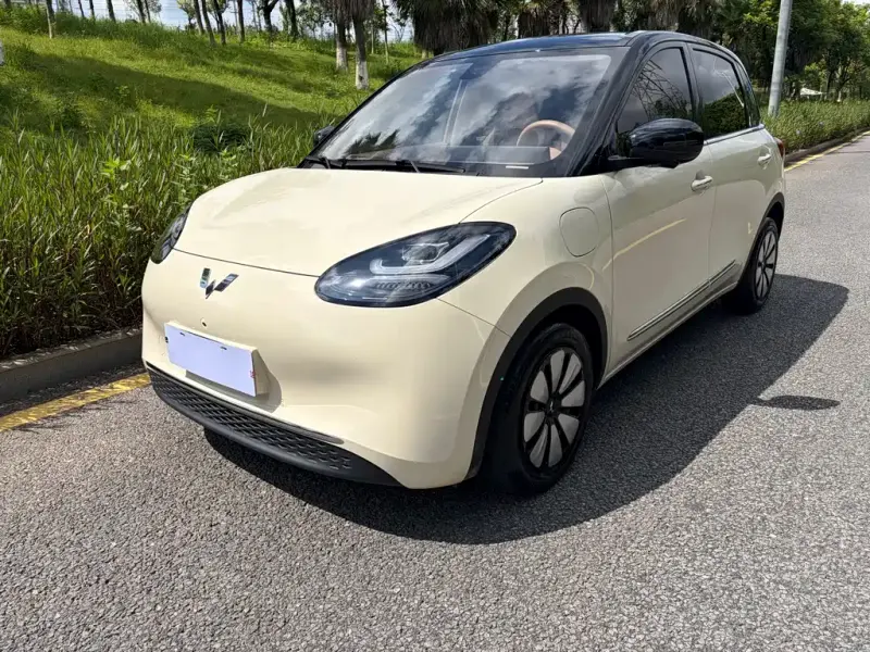 Wuling Bingo, 2025