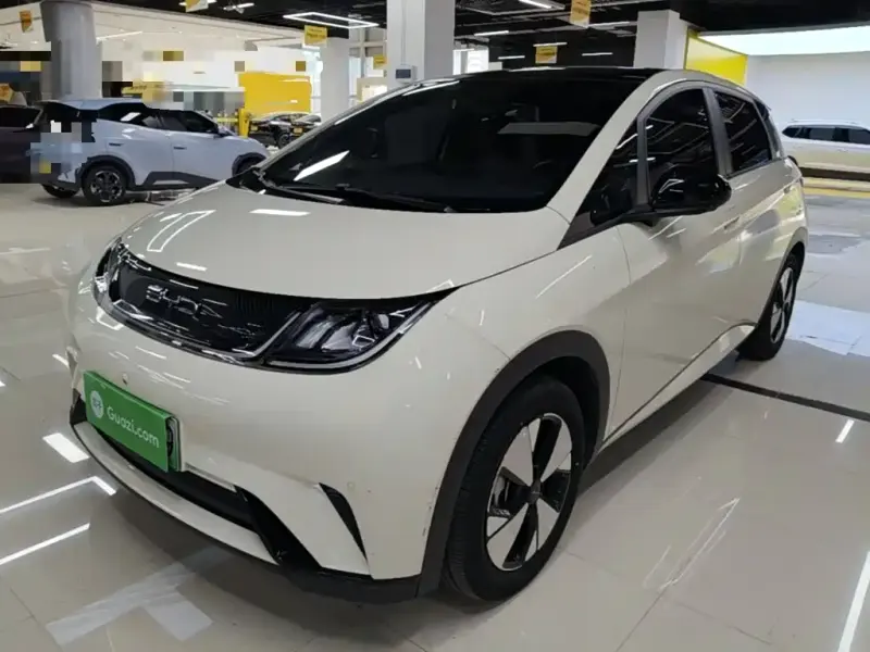 BYD Dolphin, 2024