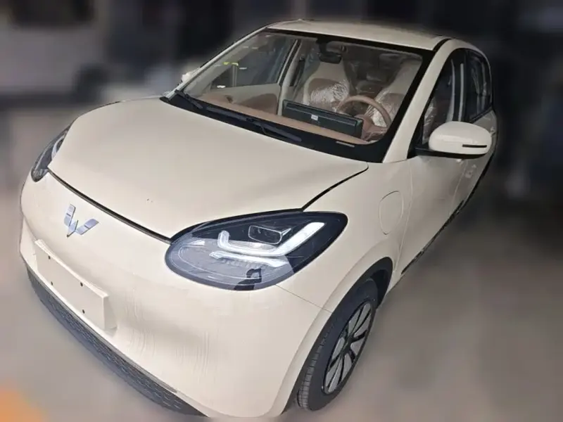 Wuling Bingo, 2026