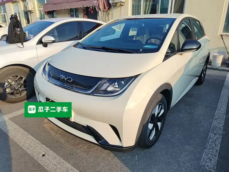 BYD Dolphin, 2026