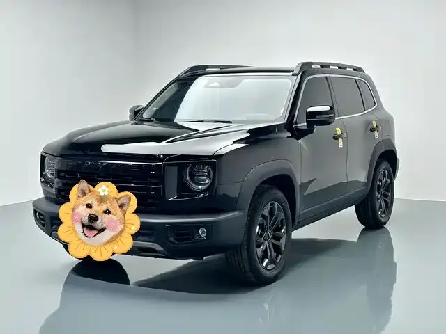 Haval Big Dog, 2024
