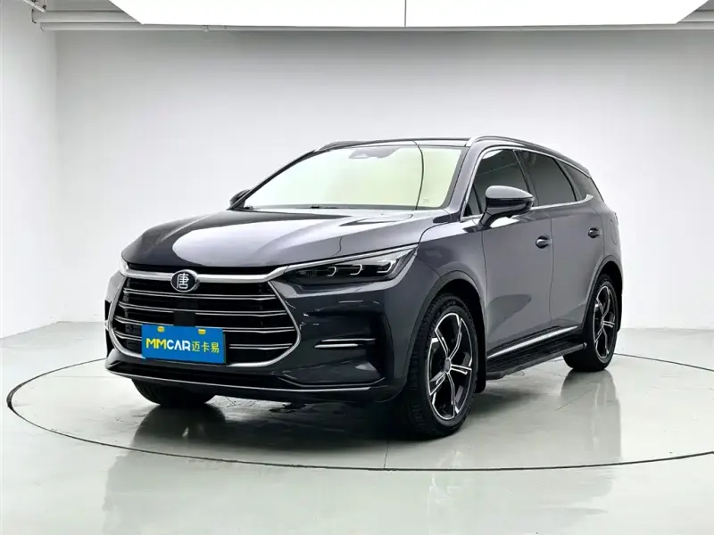 BYD Tang New Energy, 2021