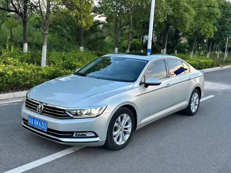 Volkswagen Magotan, 2020