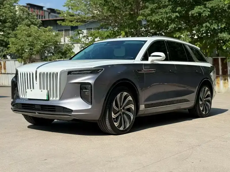 Hongqi E-HS9, 2021
