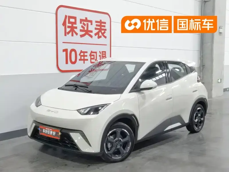 BYD Seagull, 2024