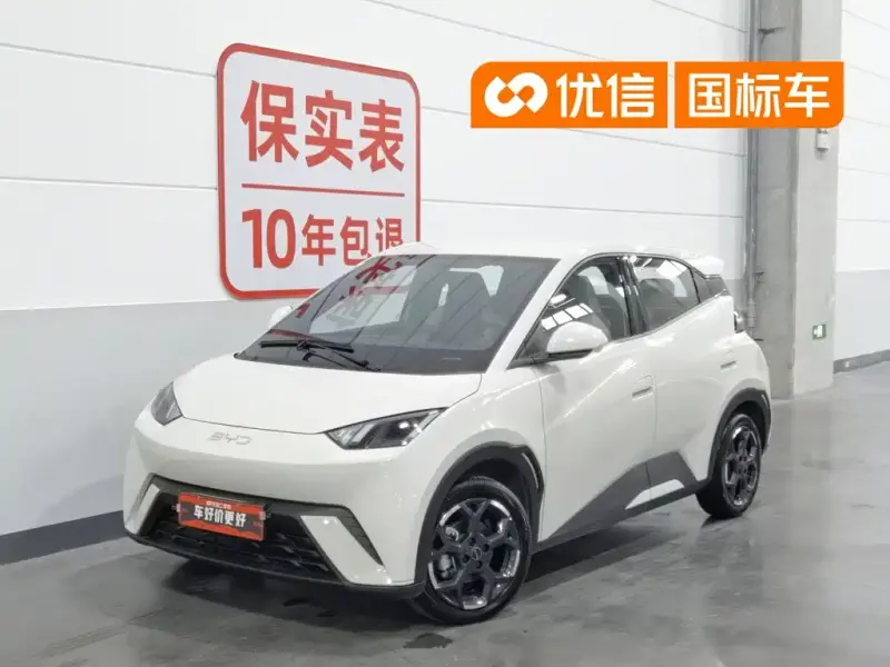 BYD Seagull, 2024