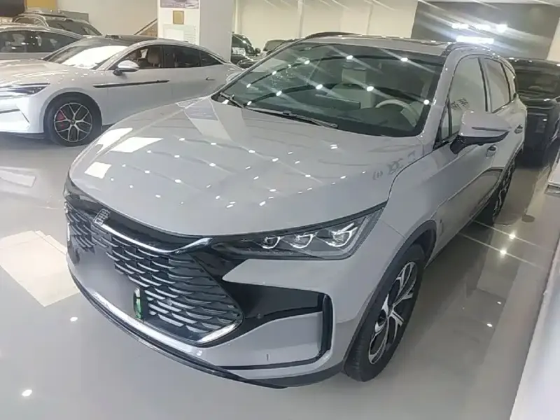 BYD Tang New Energy, 2024