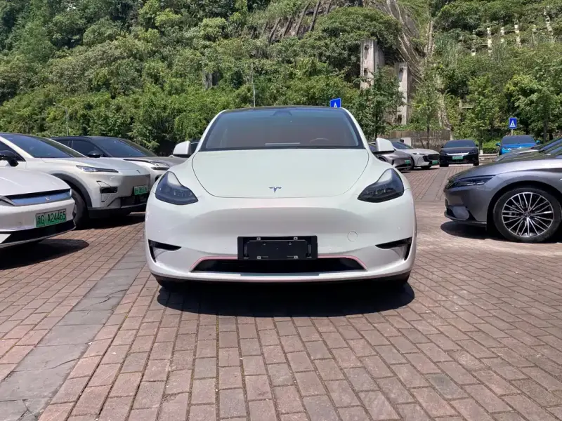 Tesla Model Y, 2021
