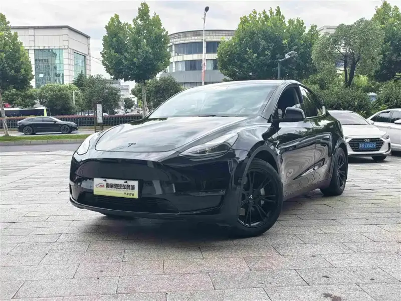 Tesla Model Y, 2021