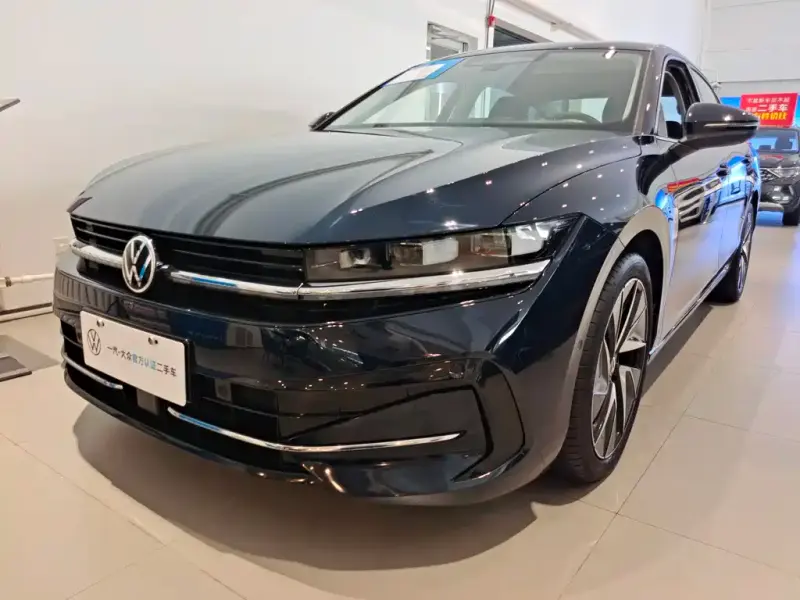 Volkswagen Magotan, 2024