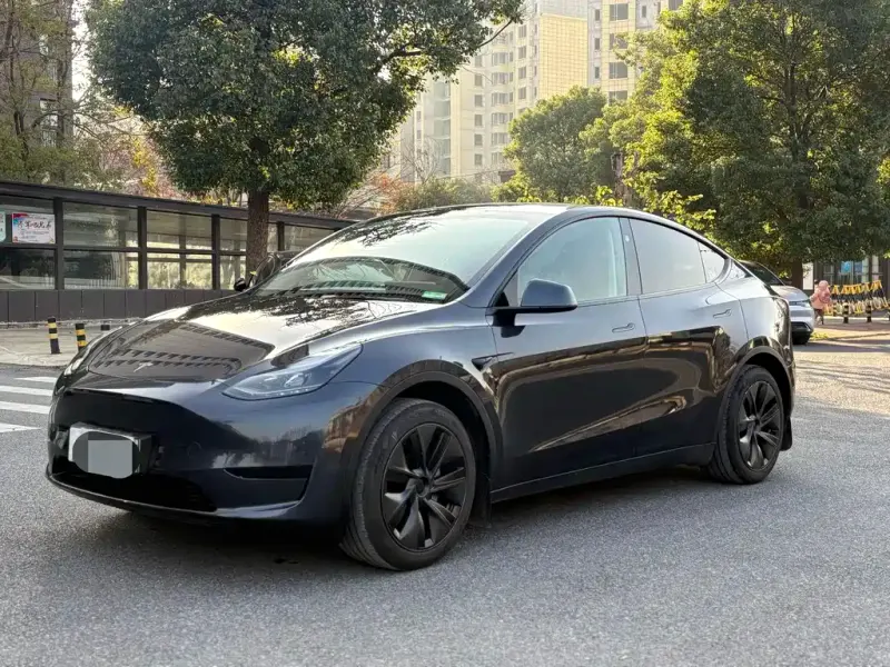 Tesla Model Y, 2024