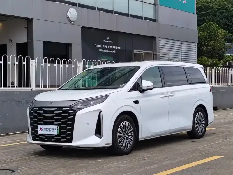 BYD Xia, 2025