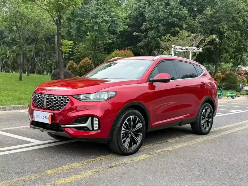 Wey VV6, 2021