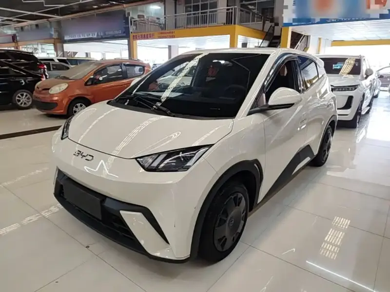 BYD Seagull, 2024