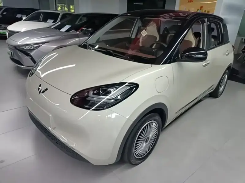 Wuling Bingo, 2024