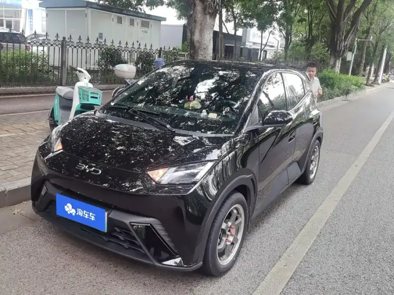 BYD Seagull, 2024
