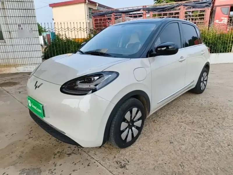 Wuling Bingo, 2024