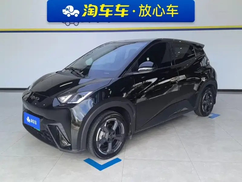 BYD Seagull, 2024
