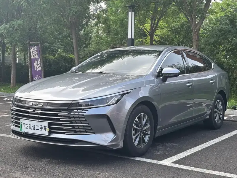 BYD Destroyer 05, 2024
