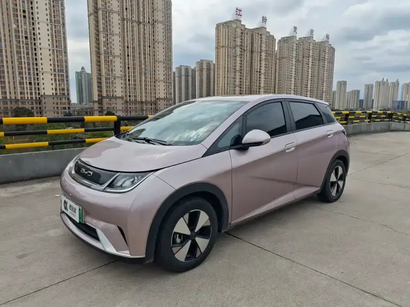 BYD Dolphin, 2023