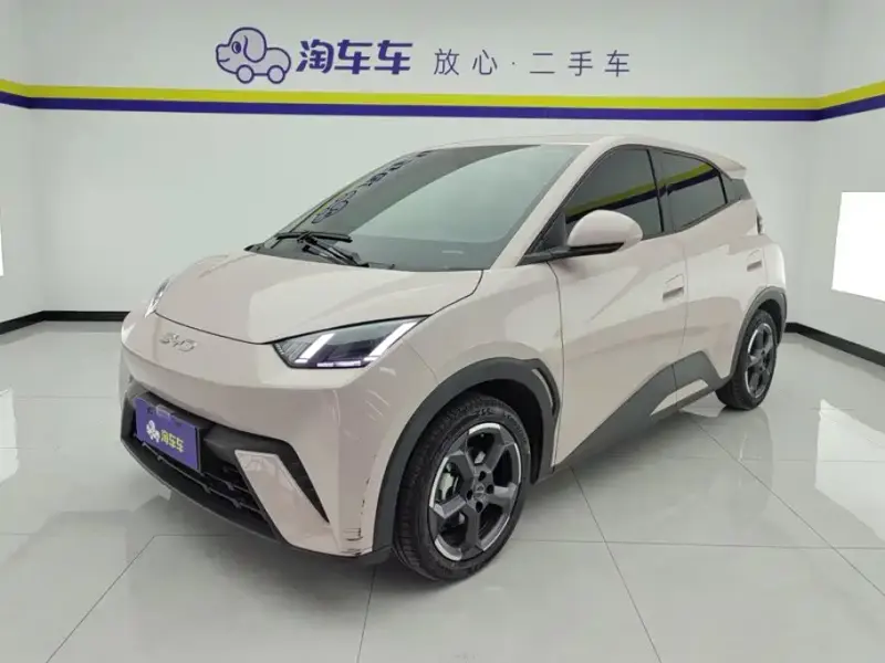 BYD Seagull, 2024