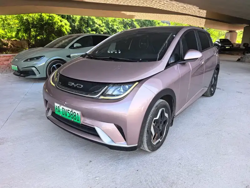 BYD Dolphin, 2022