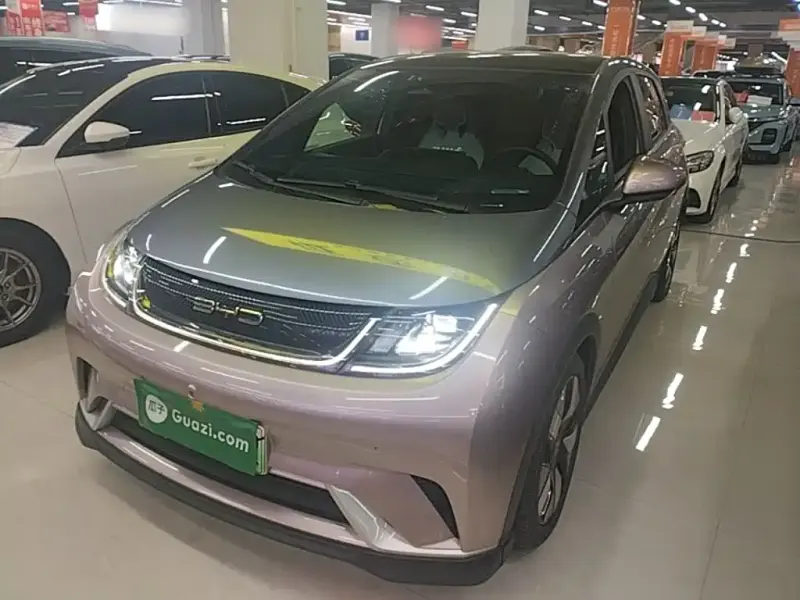 BYD Dolphin, 2022