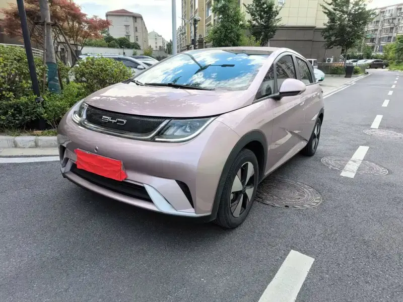 BYD Dolphin, 2023