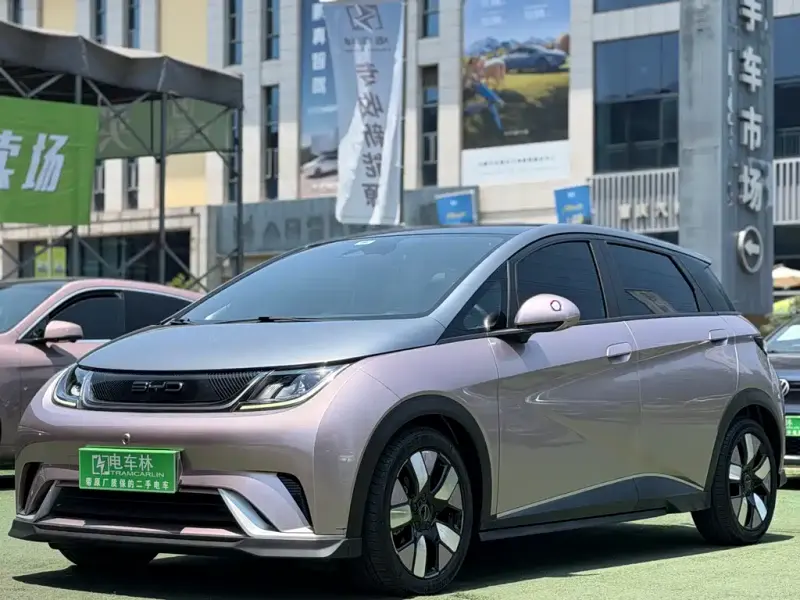 BYD Dolphin, 2021