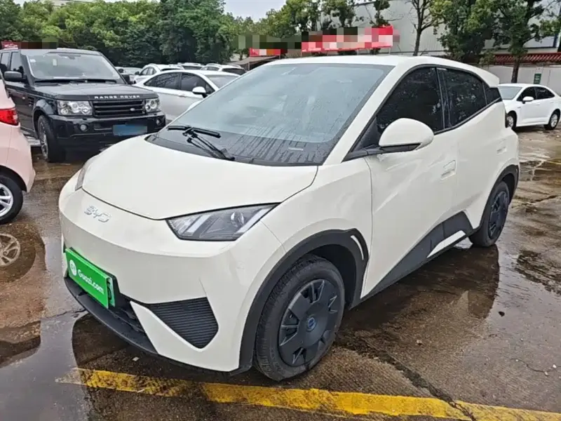 BYD Seagull, 2026