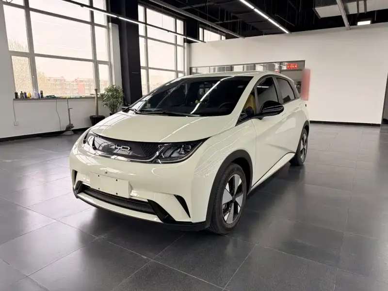 BYD Dolphin, 2023
