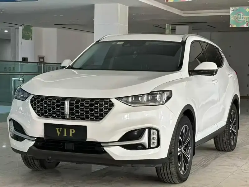 Wey VV6, 2020