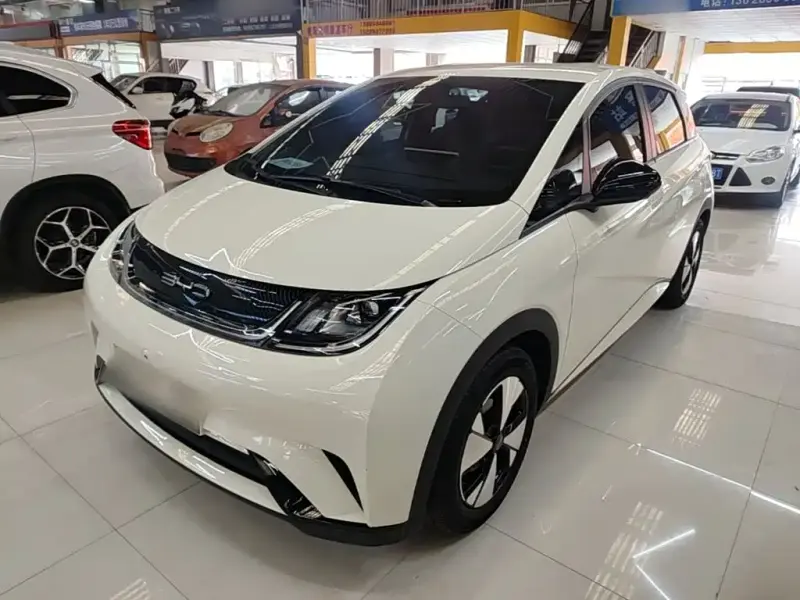BYD Dolphin, 2024