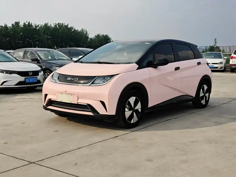 BYD Dolphin, 2024