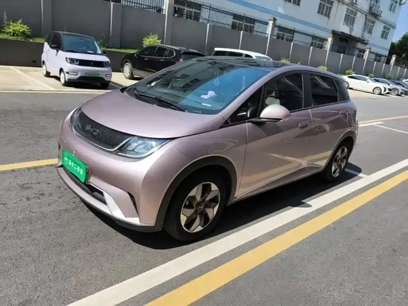BYD Dolphin, 2024