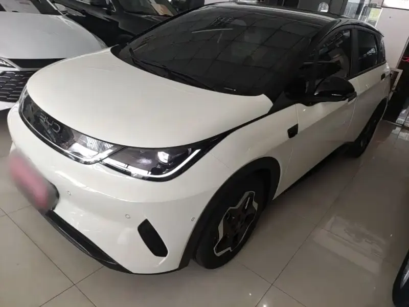 BYD Dolphin, 2026