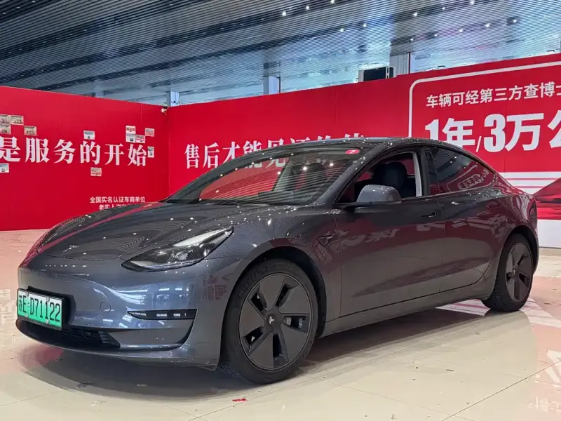 Tesla Model 3, 2021